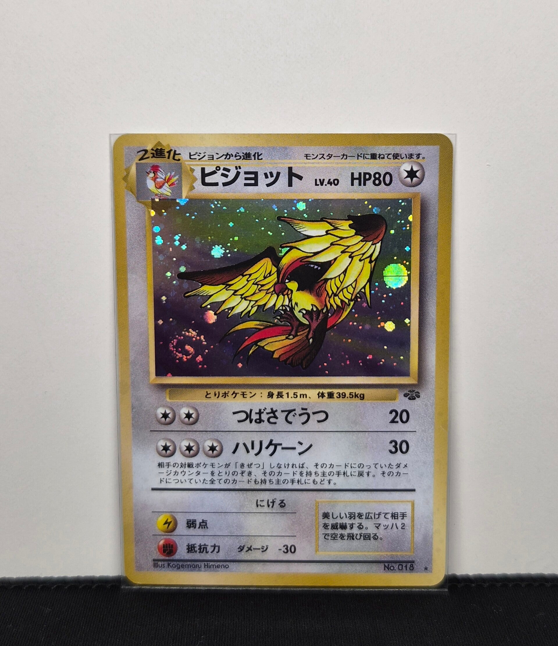 Pokémon - Pidgeot, Jungle - Swirl