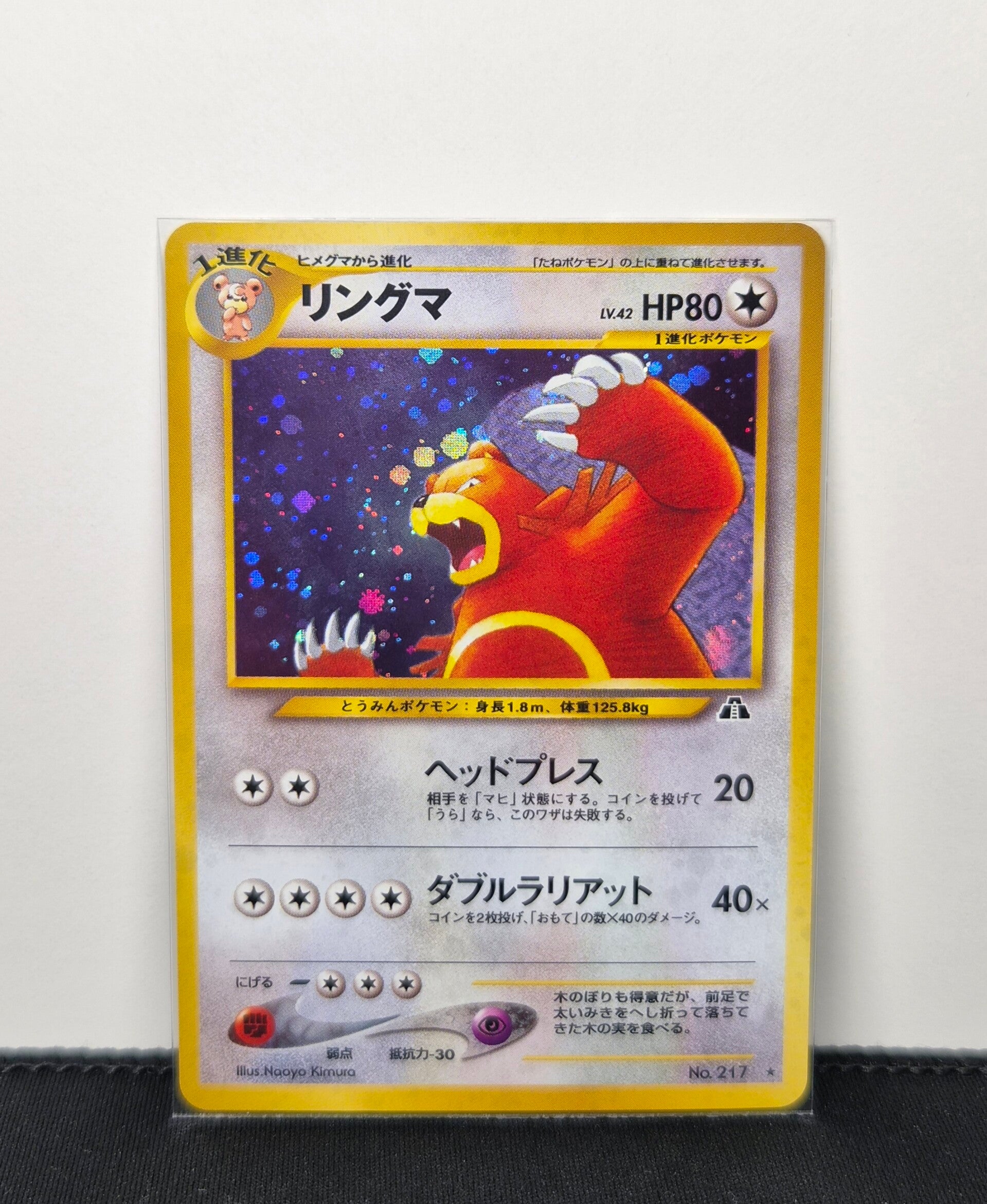 Pokémon - Ursaring, Crossing the Ruins