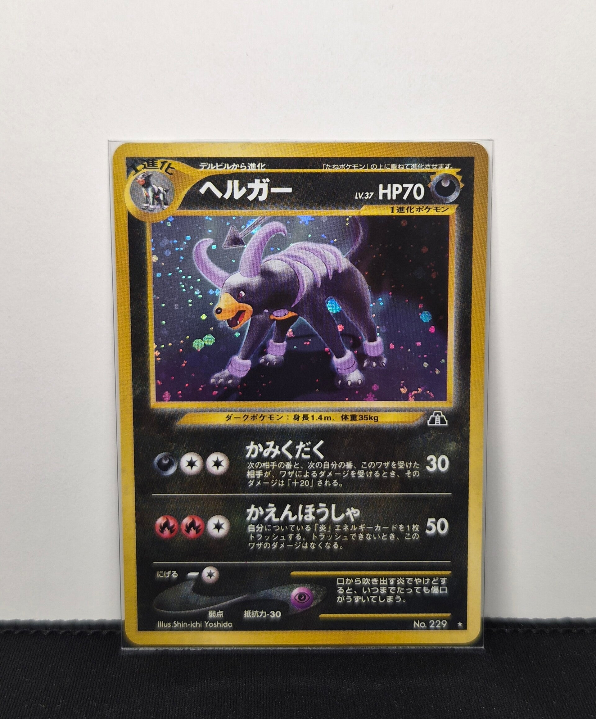 Pokémon - Houndoom, Crossing the Ruins