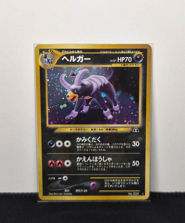 Pokémon - Houndoom, Crossing the Ruins