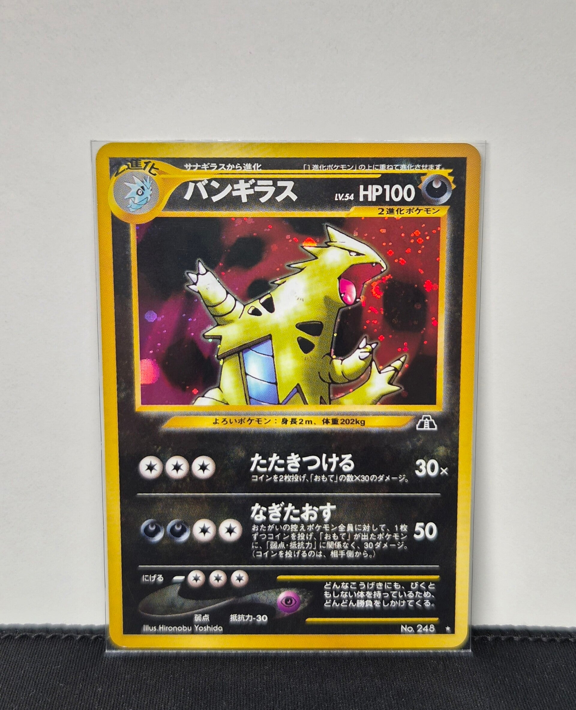 Pokemon - Tyranitar, Crossing the Ruins
