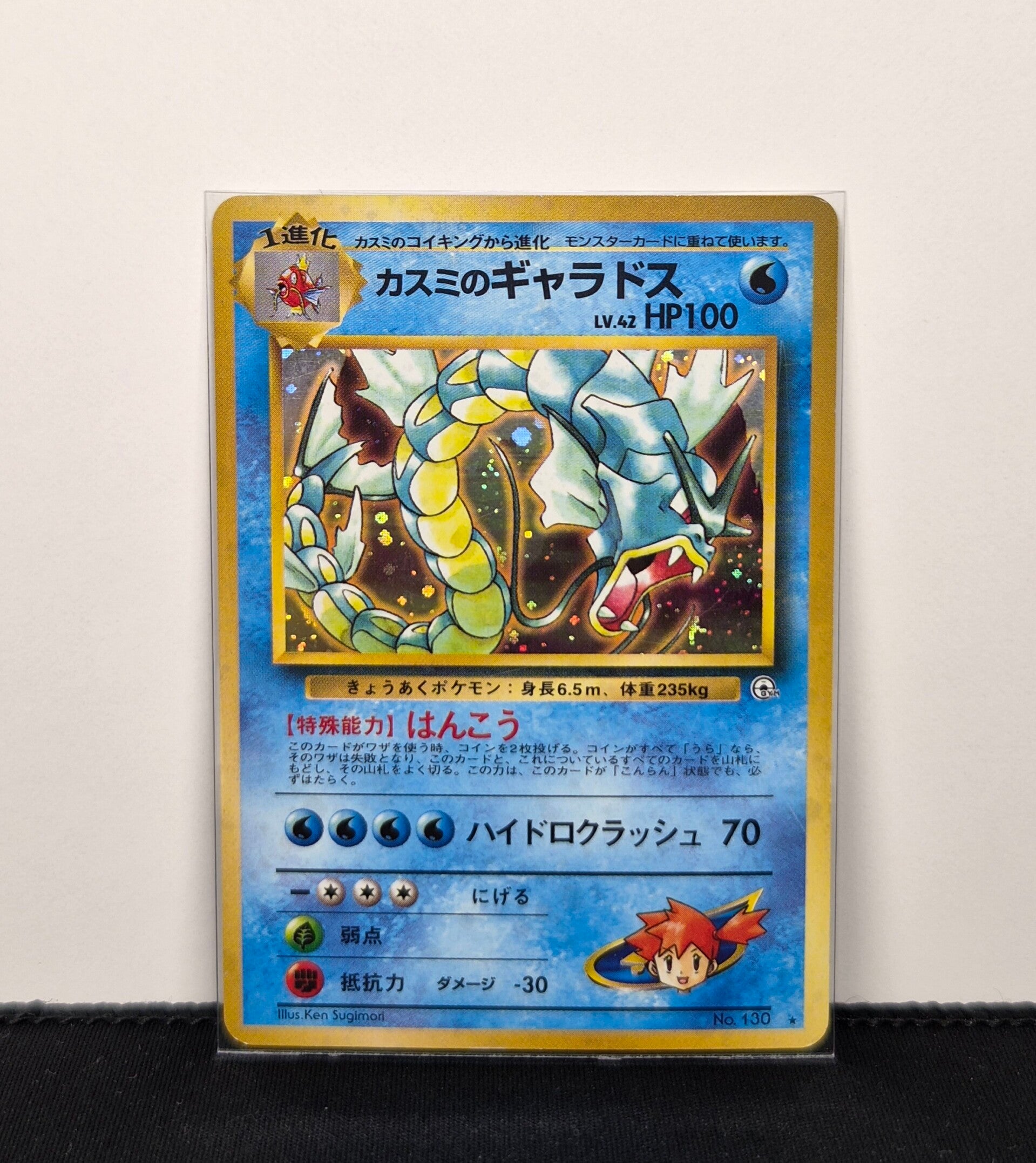 Pokémon - Misty's Gyarados, Leaders Stadium