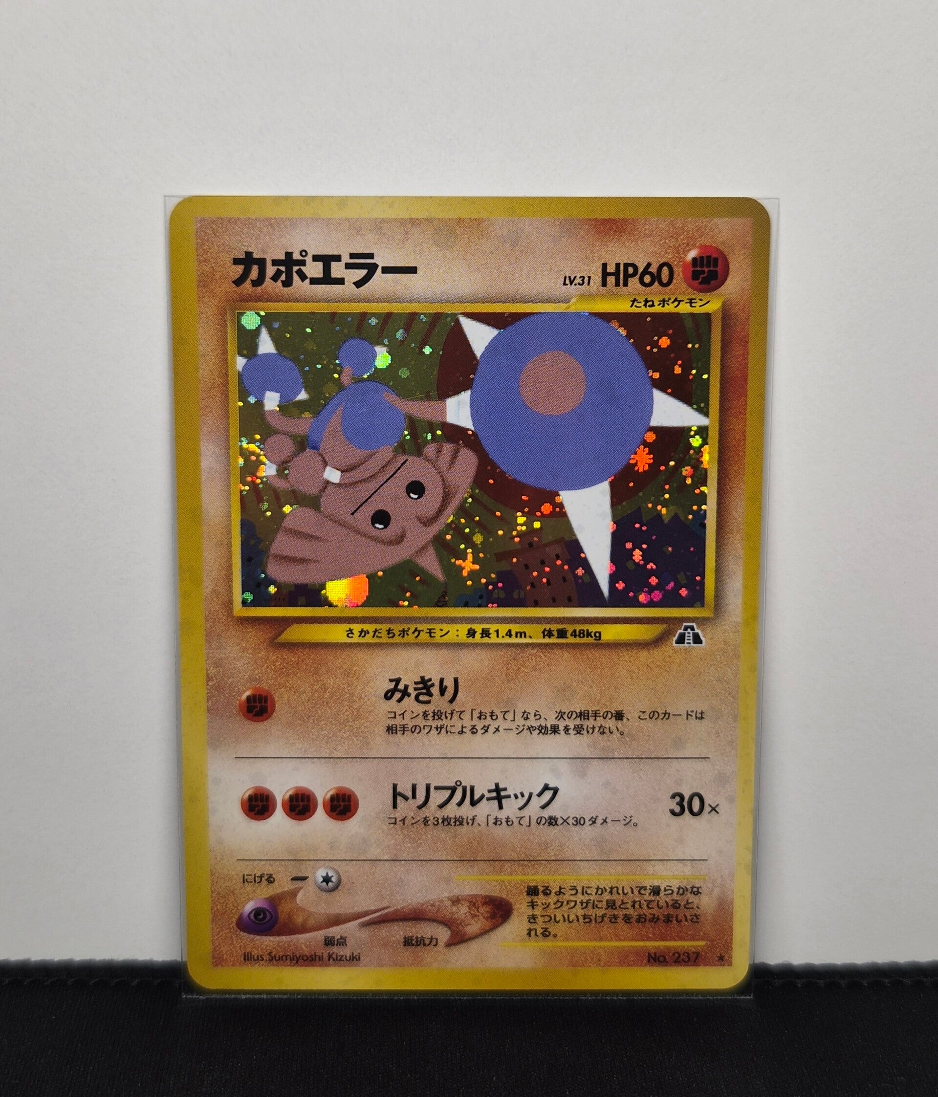 Pokemon - Hitmontop, Crossing the Ruins