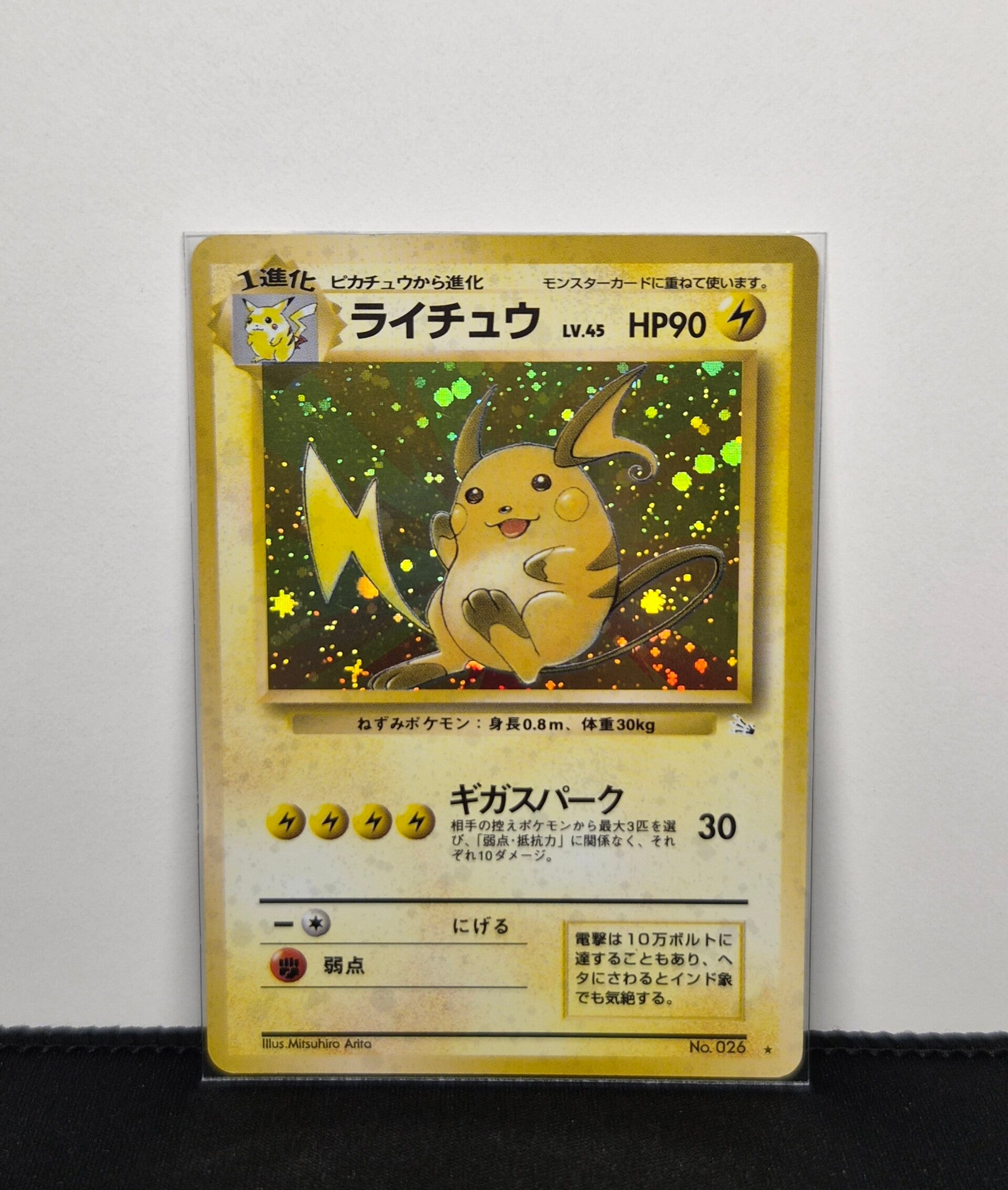 Pokémon - Raichu, Mystery of the Fossils