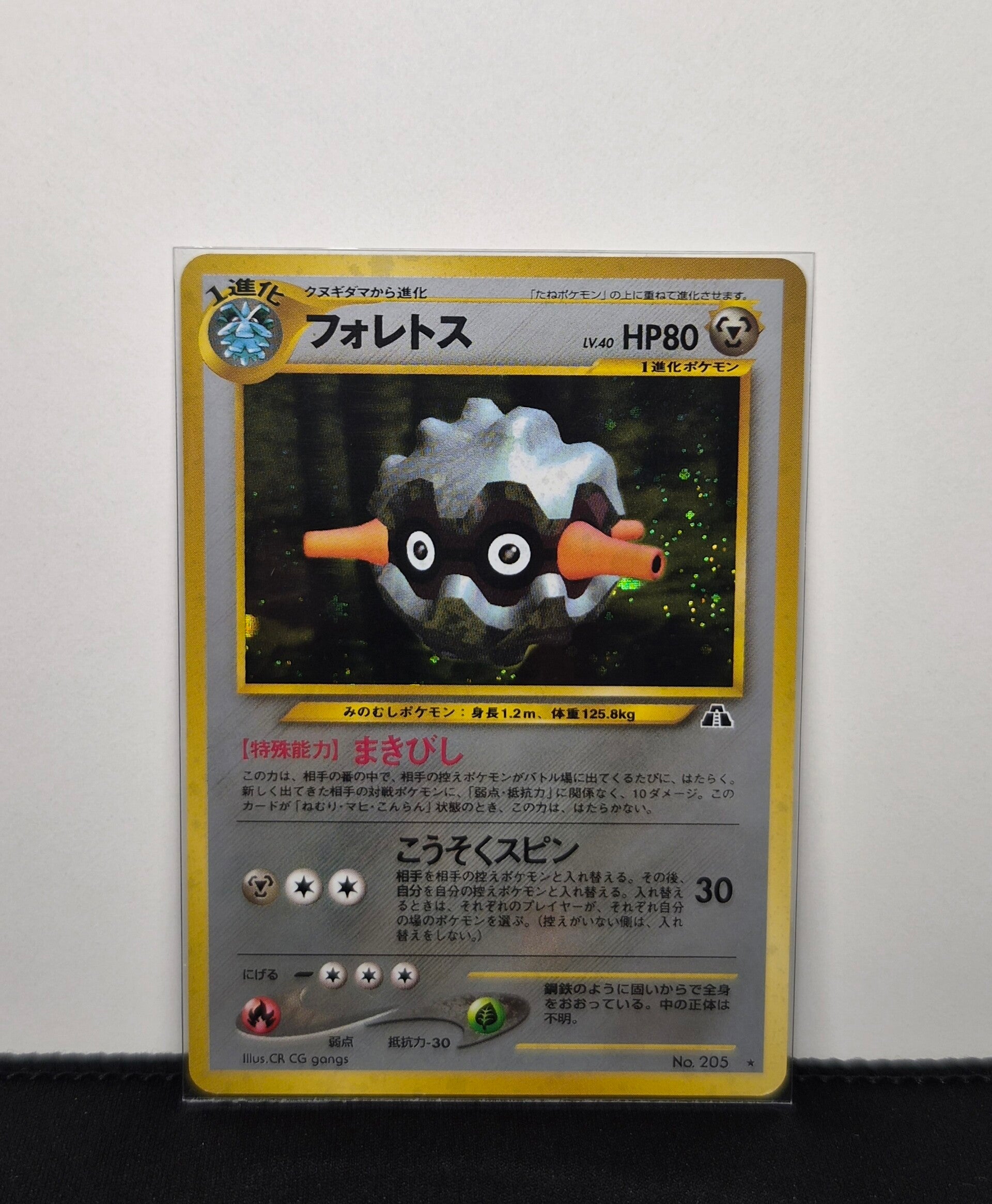 Pokémon - Forretress, Crossing the Ruins
