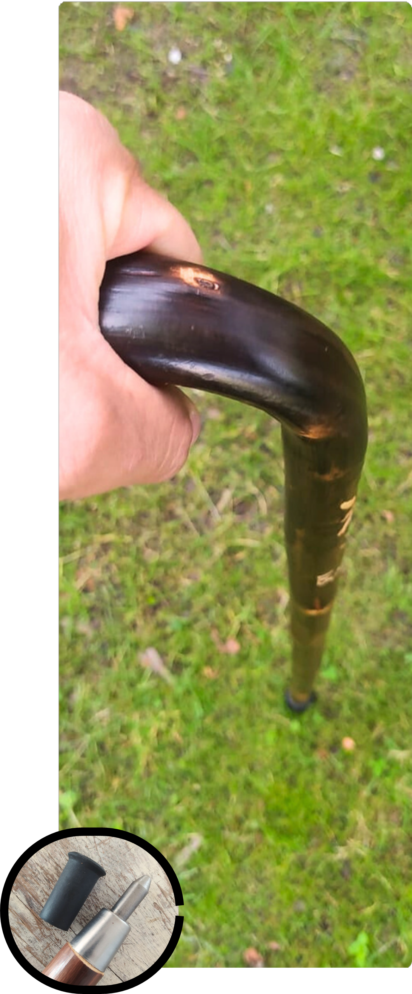 Canne Alpine à pique chalume verni 85-95 cm