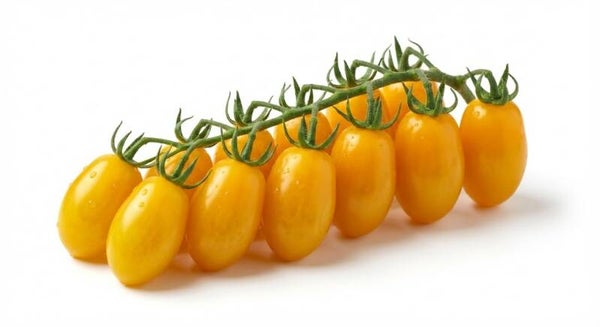 Pomodoro Datterino Giallo