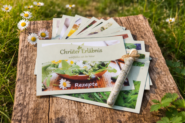 Rezeptkarten Set
