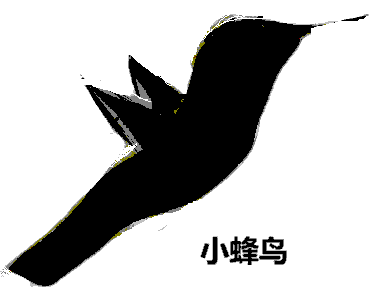 Little Hummingbird 小蜂鸟