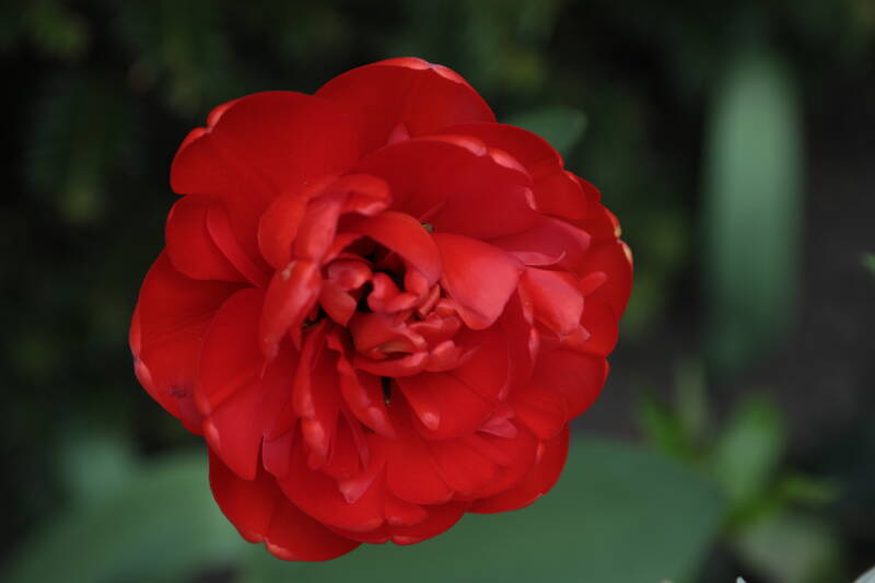 0o7a9374-standard.jpg