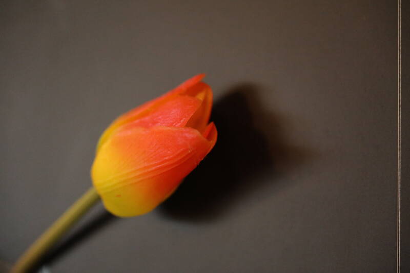 0o7a9483-standard.jpg
