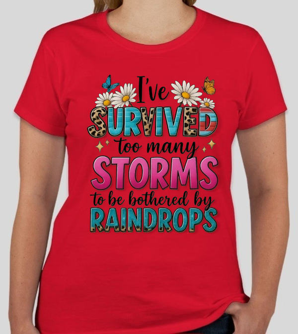 I've survived too many storms