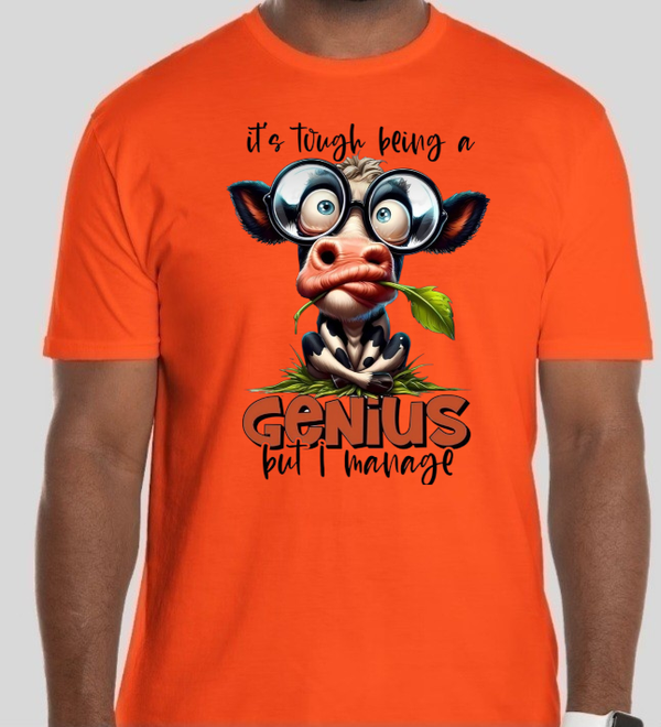 It's Tough Being  A Genius