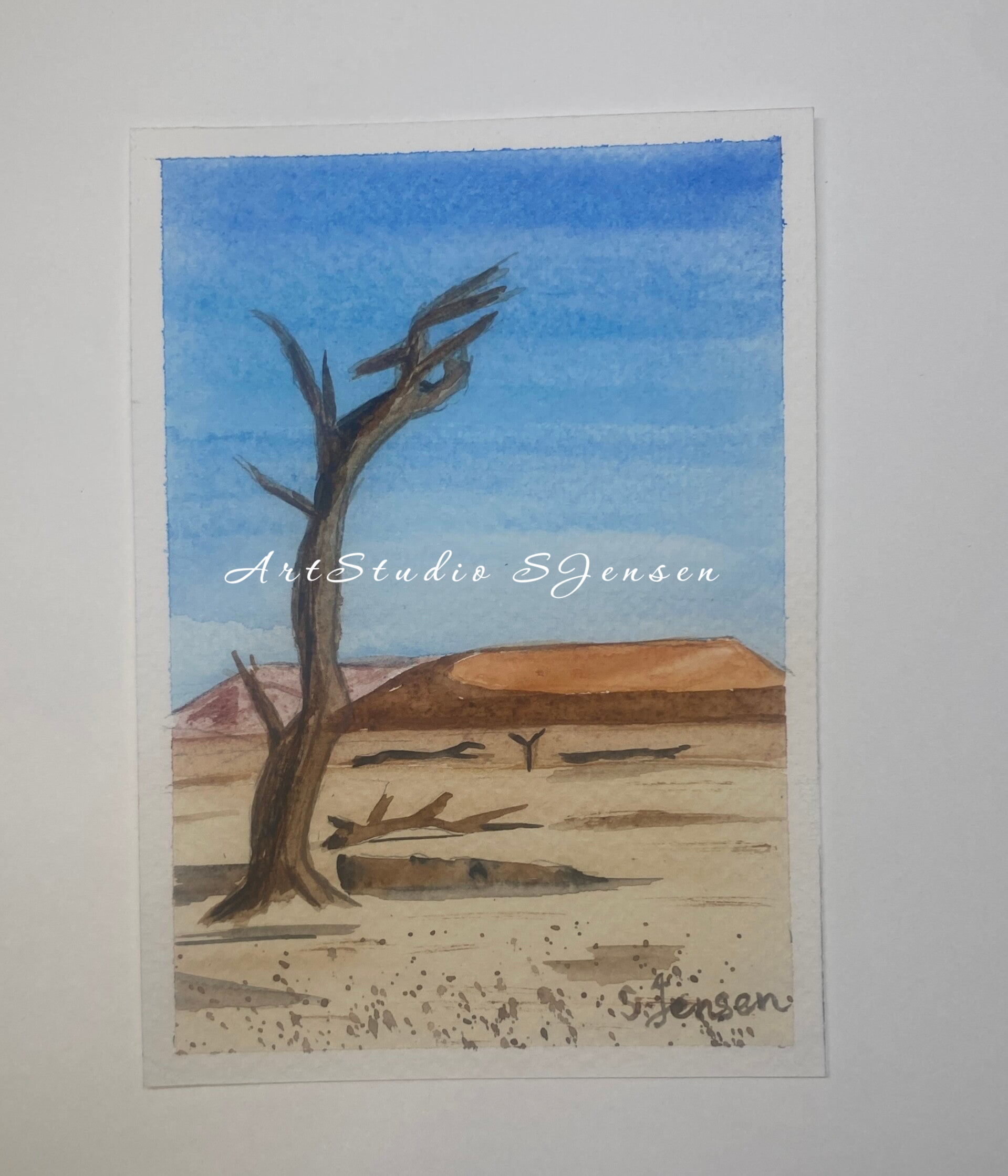 Original Hand-painted,signed,limited edition Postcard by S.Jensen
