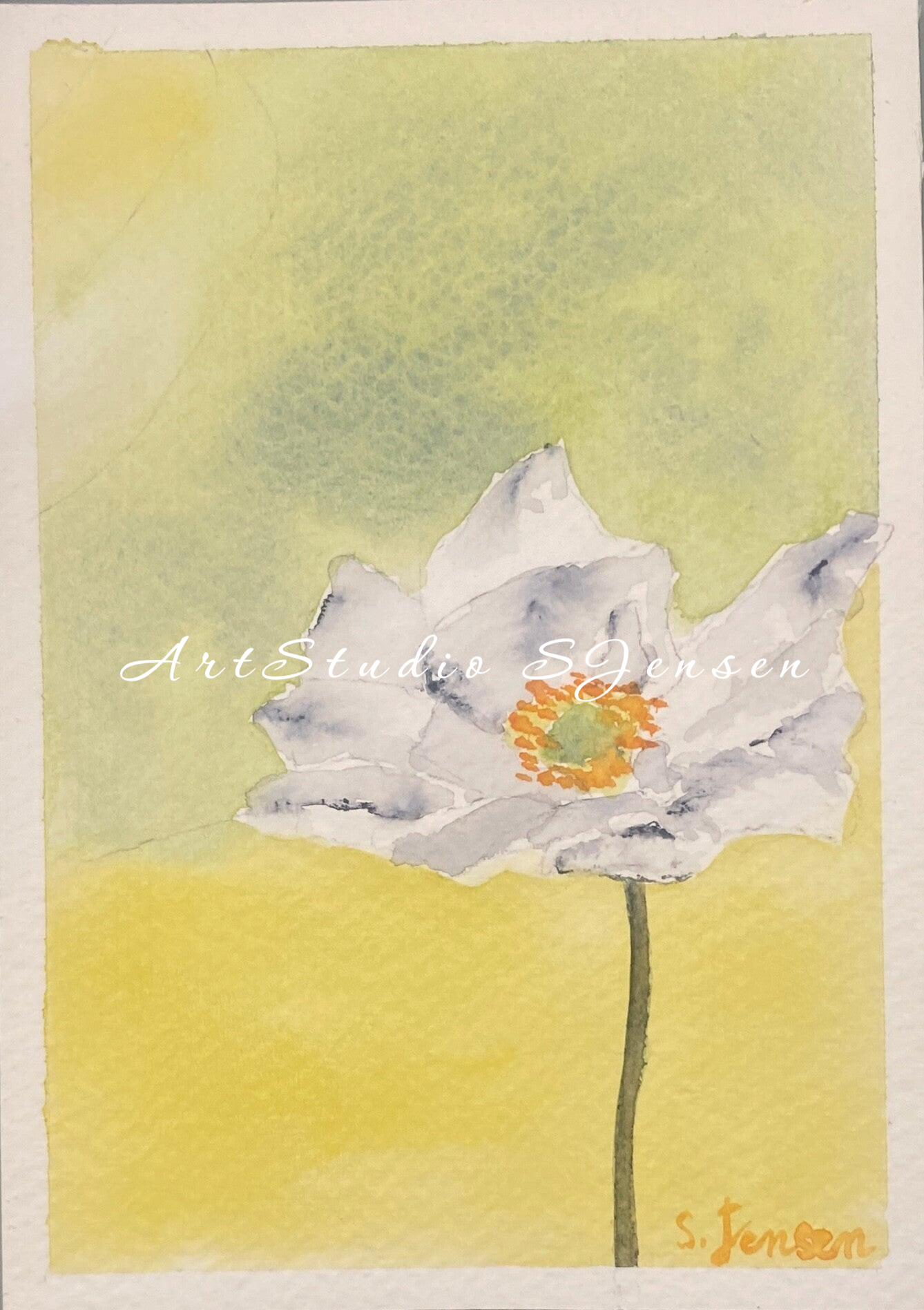 Original Hand-painted,signed,4 limited edition Postcard by S.Jensen