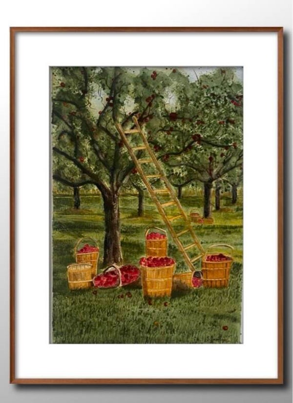 Apple Orchard Harvest – Original Watercolor by S.Jensen