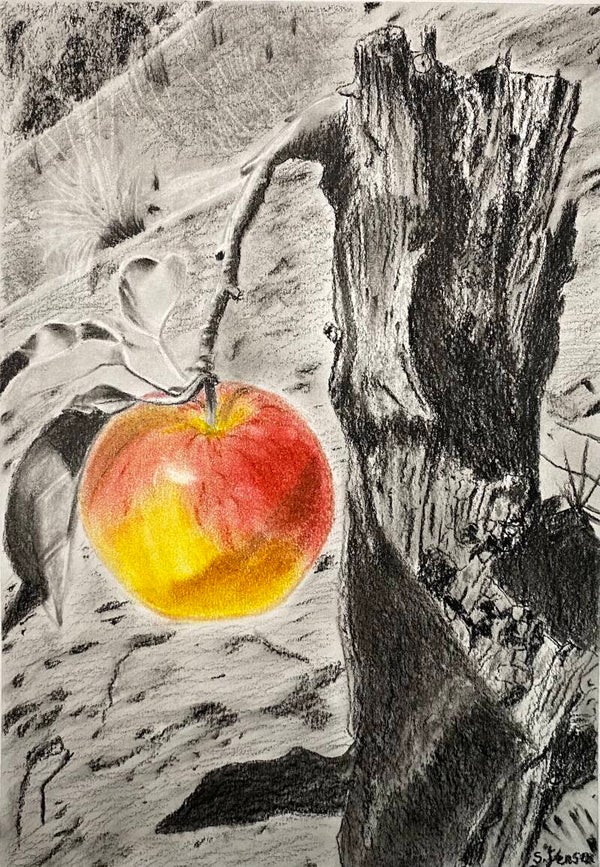 Survivor- Original Watercolor Painting by S. Jensen