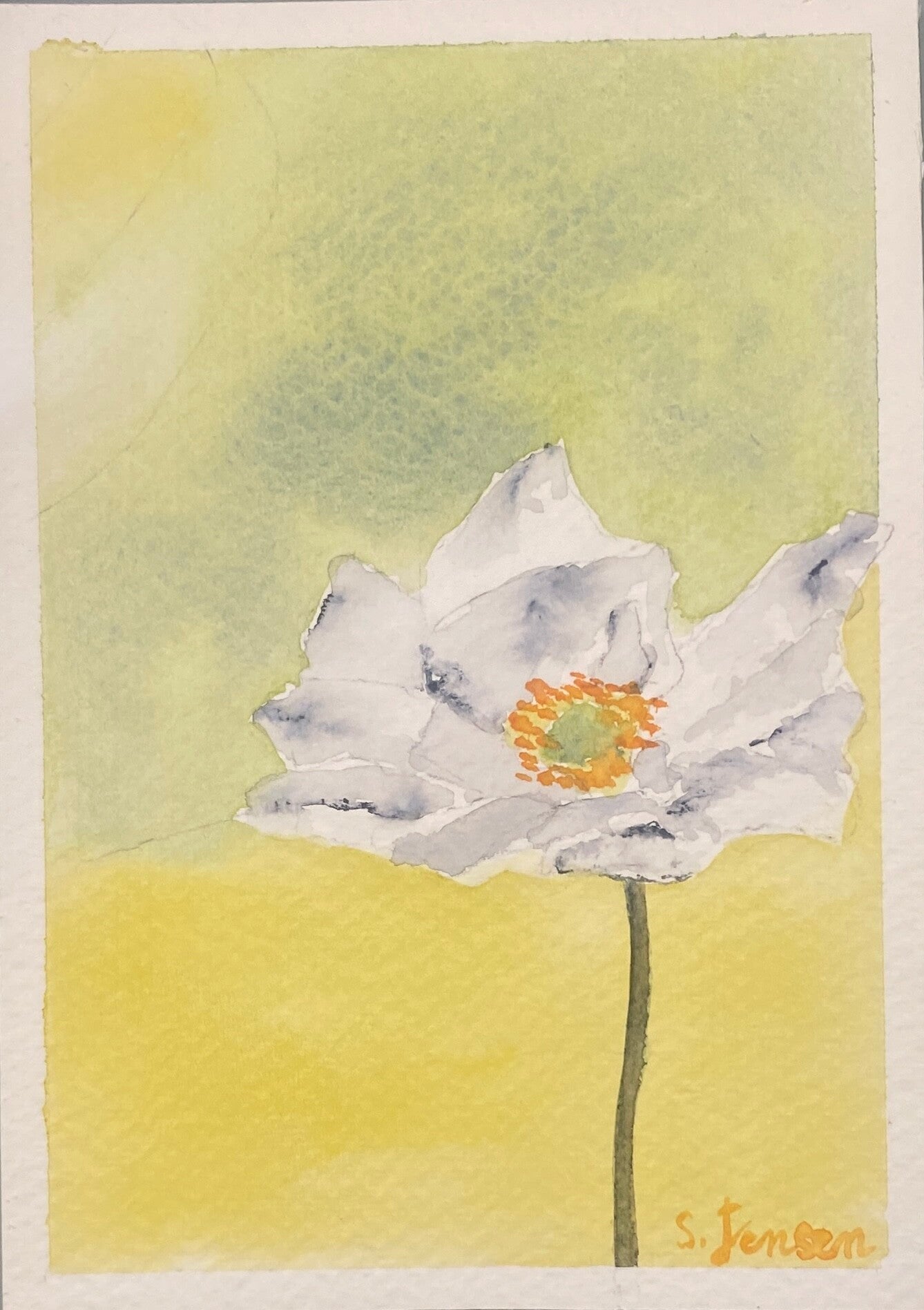 Original Hand-painted,signed,4 limited edition Postcard by S.Jensen