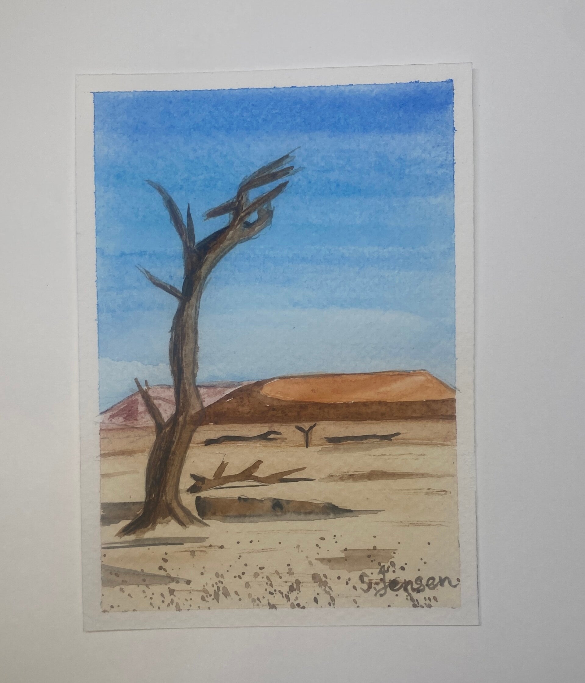 Original Hand-painted,signed,limited edition Postcard by S.Jensen