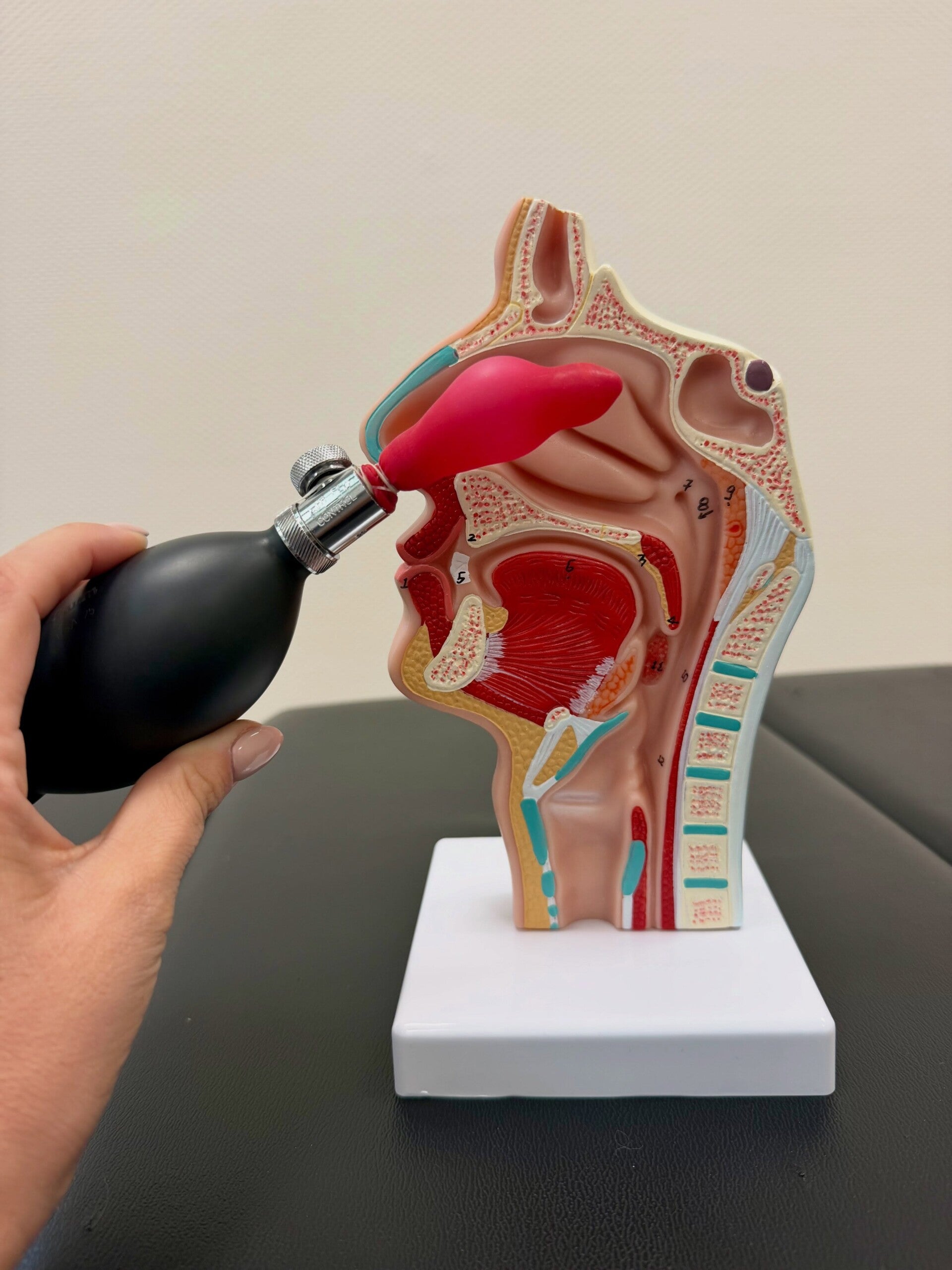 Le cranial facial release est arrivé au cabinet a Luxembourg 