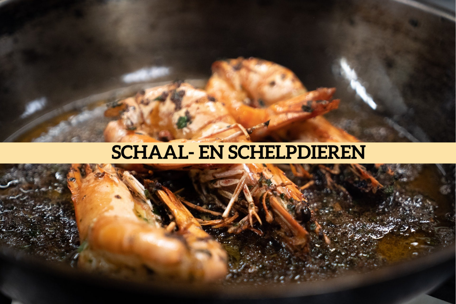 Schaal- en schelpdieren