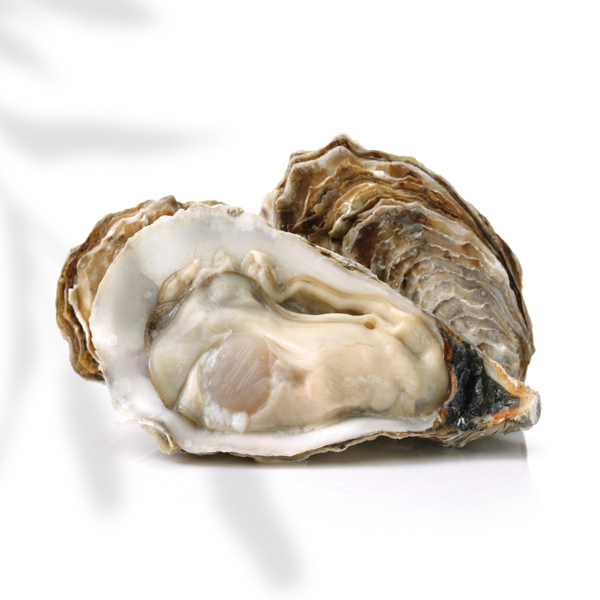 Tafeloester Formi-table nr 3 25 st