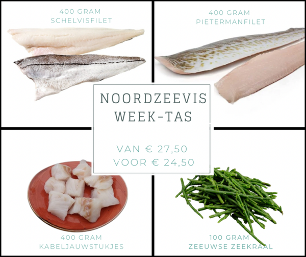 Noordzeevis "Week-tas"
