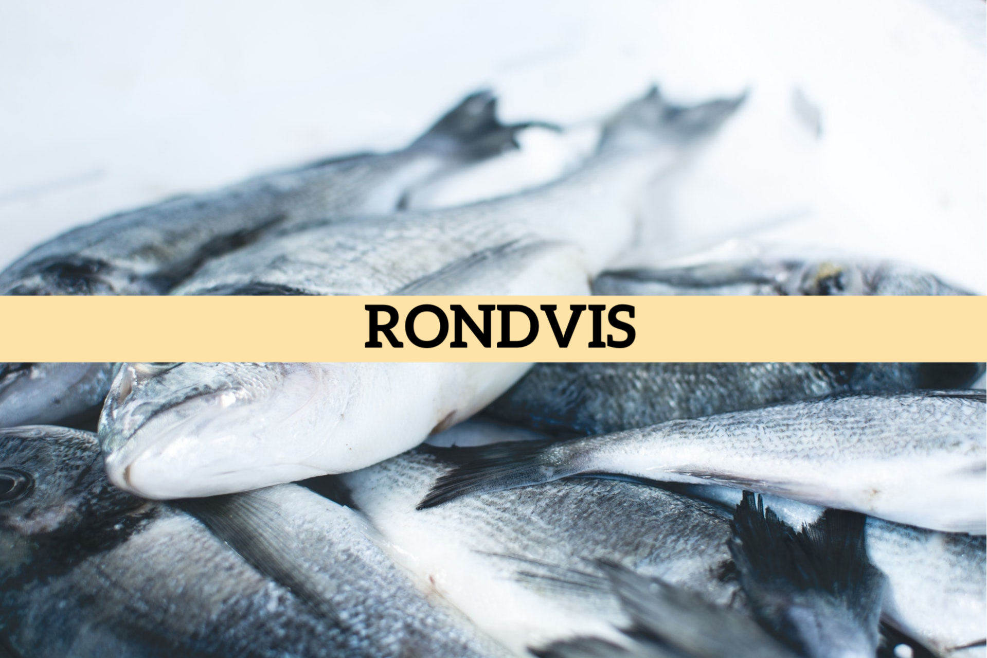 Rondvis