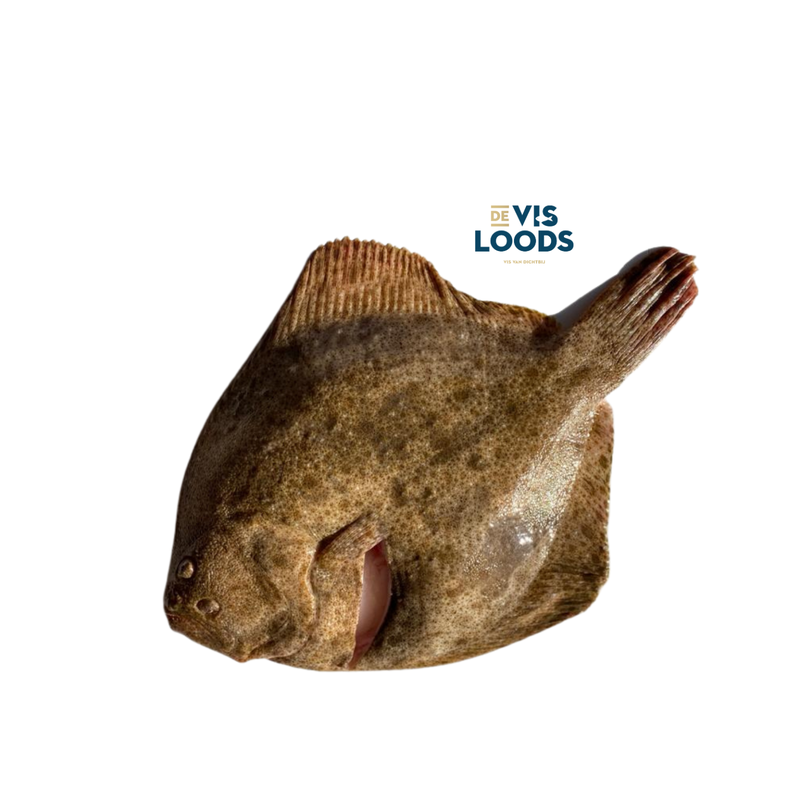 DeVisloods Tarbot