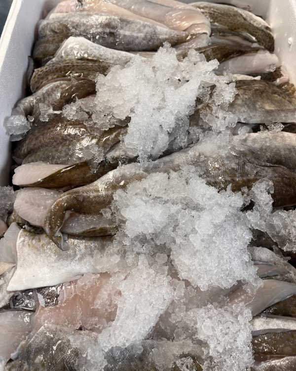 Kabeljauwfilet (150-300 gram per stuk) zonder graat