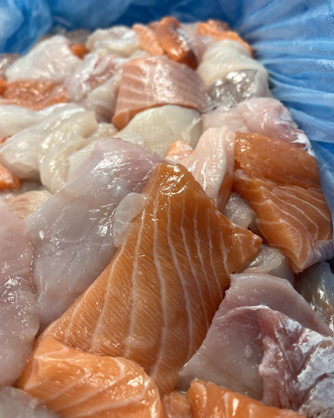 Vis-mix filet blokjes