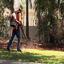 LEAFBLOWERS0001JAI.jpg