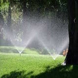 sprinkler.jpg