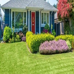 lawnlandscape.jpg