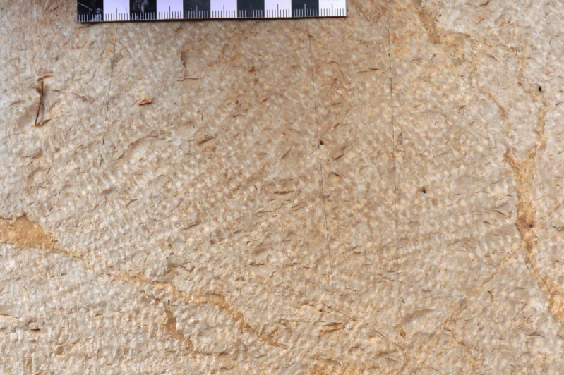 Messene gezahnte Oberfläche