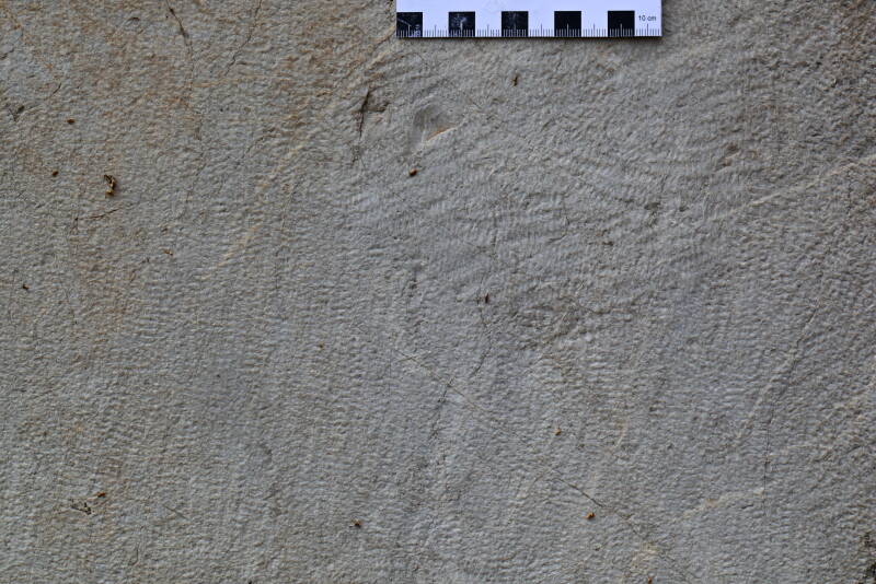 Abb. 14: Das Zahneisen ist ca. 2,5 cm breit und hat etwa 10 Zähne. Vermutlich wurde an dieser Stelle der Versatzbossen zurückgearbeitet. Foto: P. Völkle ©