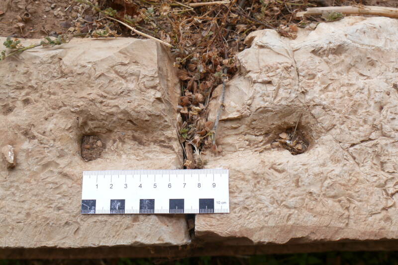 Abb. 9: Detail der Klammerlöcher. Foto: P. Völkle ©