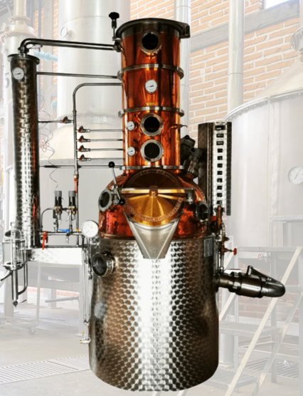 progetto-senza-titolo-high.png?enable-io=true&enable=upscale&crop=828%2C1080%2Cx126%2Cy0%2Csafe&width=426&height=556