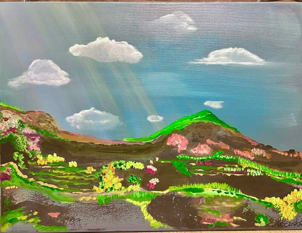 Summerland 24x18x.75”
