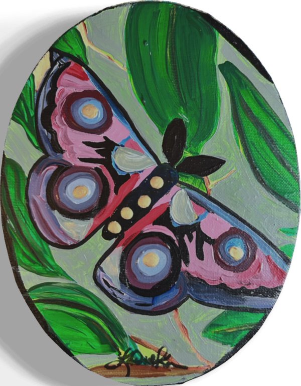 Moth 6x9x1”