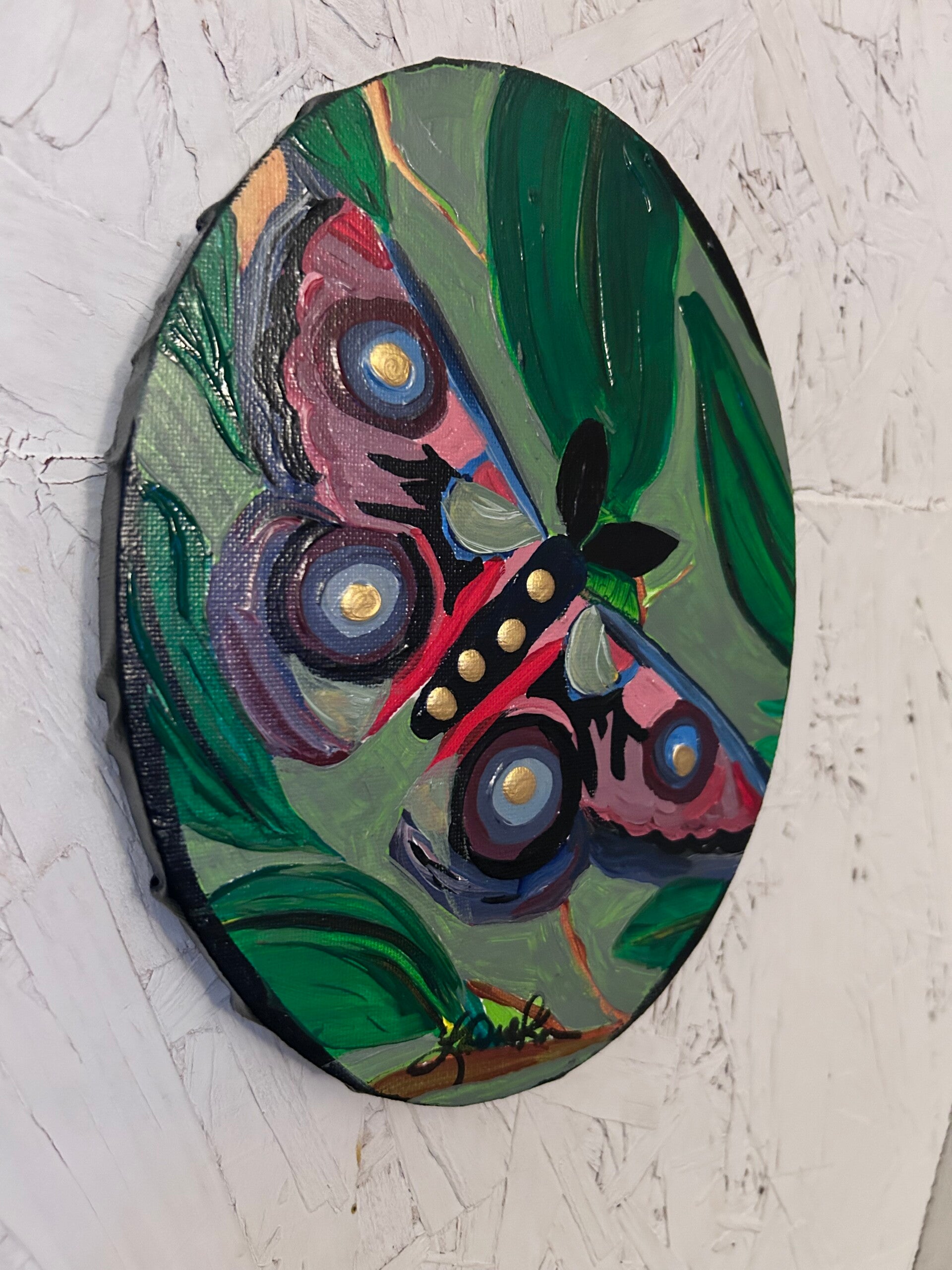 Moth 7x5” Oval stretched canvas