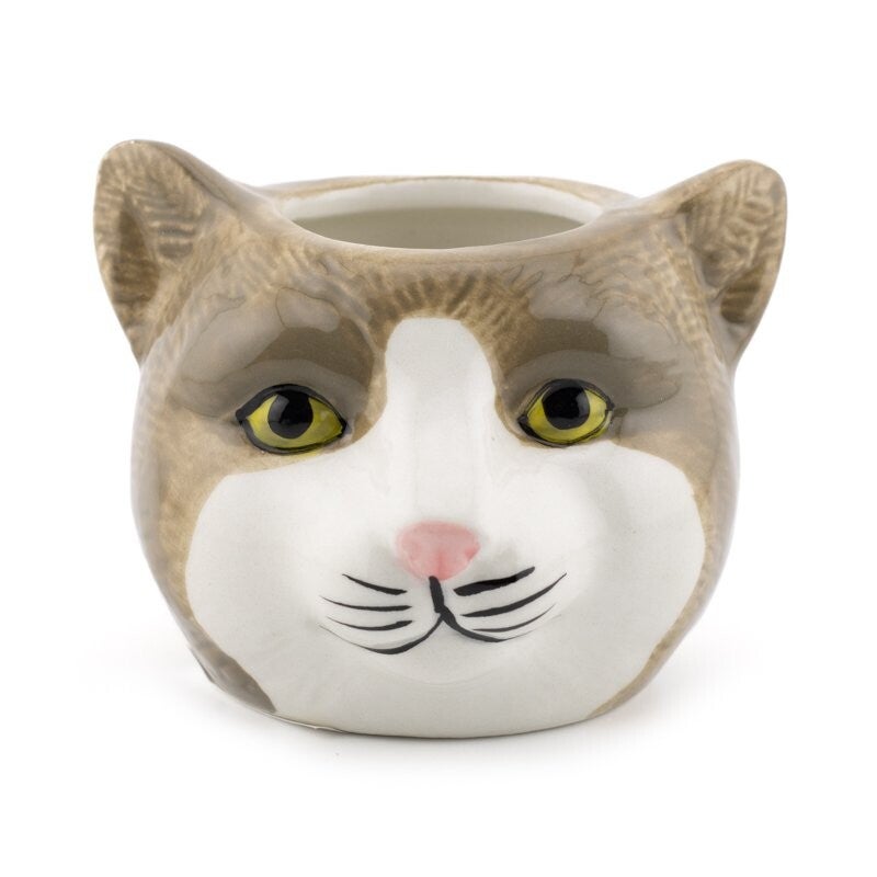 Bloempot kat