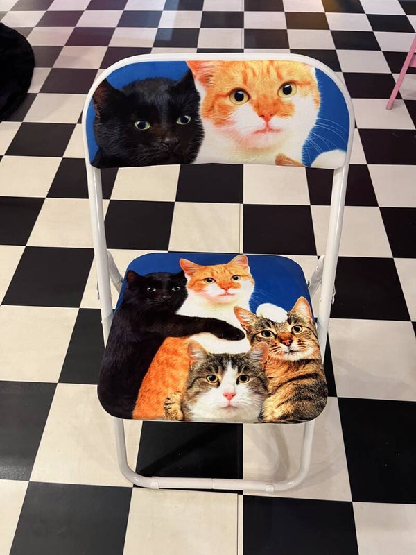 TP Folding Chair POLYCATS