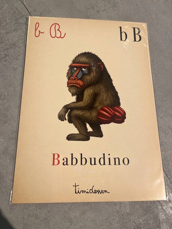 Timidessen Abecedanno B