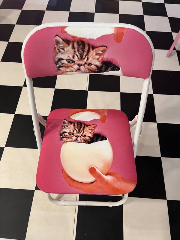 TP Folding Chair CAT SURPRISE