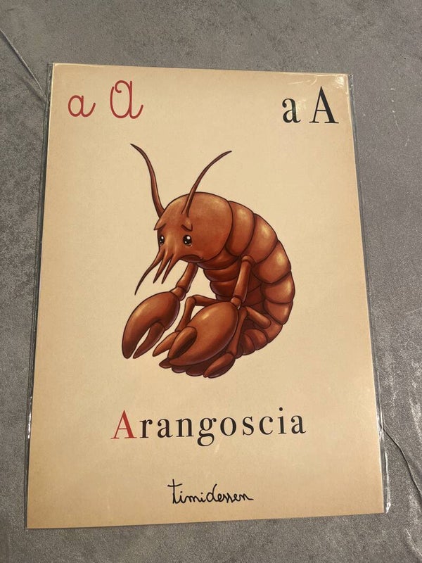 Timidessen Abecedanno A
