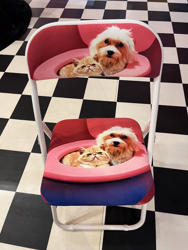 TP Folding Chair BFF