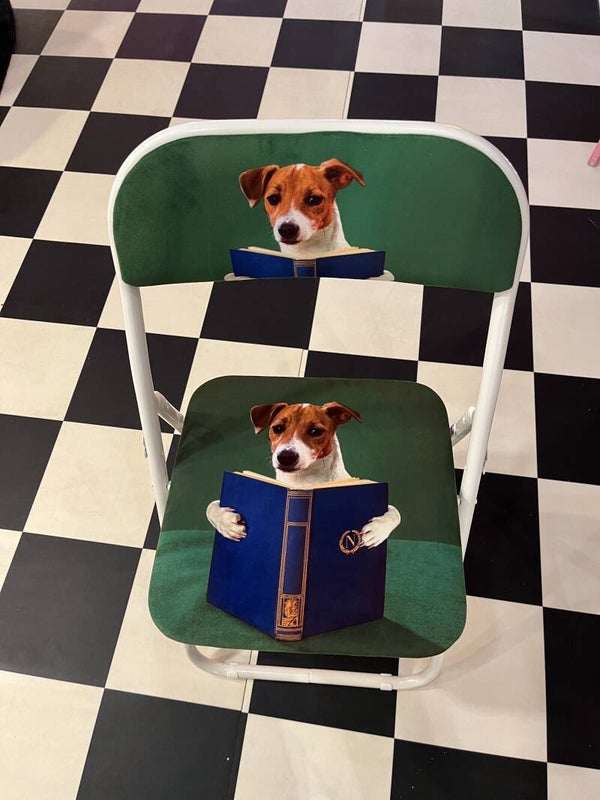 TP Folding Chair NERDY DOG
