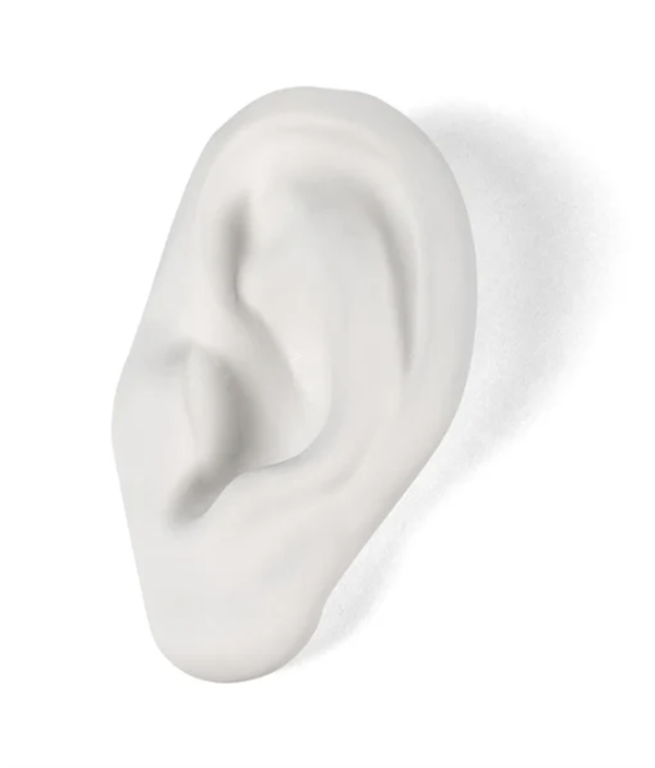 Memorabilia Mvsevm ORECCHIO