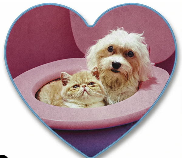 TP Pets Mats "BFF"